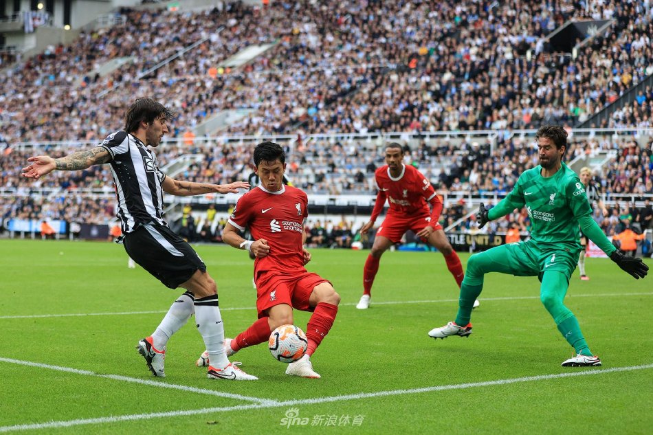 动员在伤病 动员在伤病